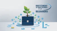 Investment Strategies for Beginners